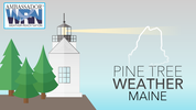 Pine Tree Weather